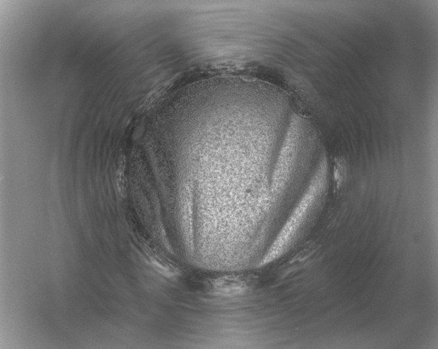 X0000053100867200507251628