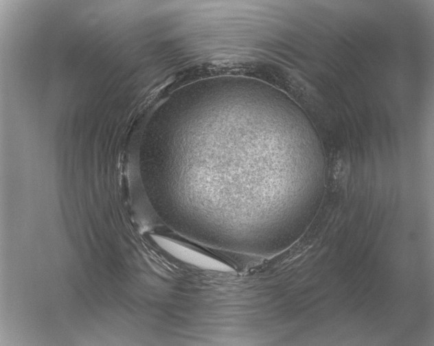 X0000053100868200507251628