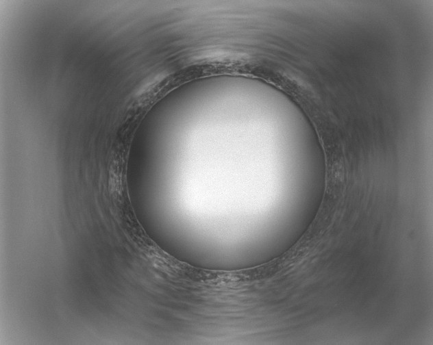 X0000053100869200507251628