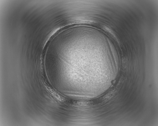 X0000053100875200507251628