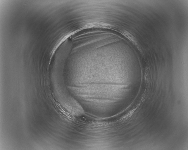 X0000053100877200507251628