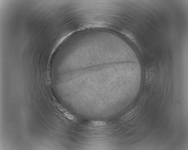 X0000053100878200507251628