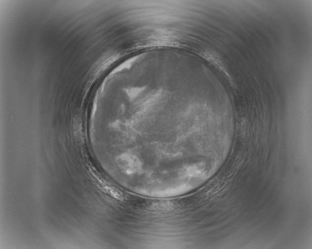 X0000053100882200507251628