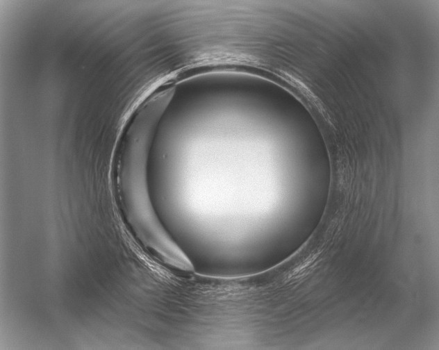 X0000053100885200507251628