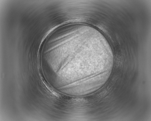 X0000053100886200507251628