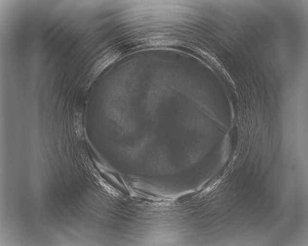 X0000053100889200507251628