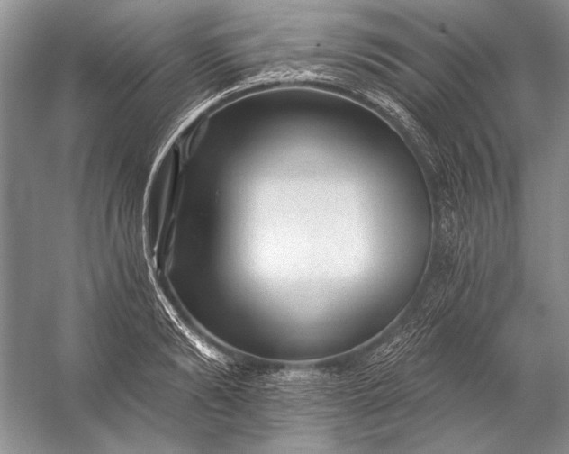 X0000053100894200507251628