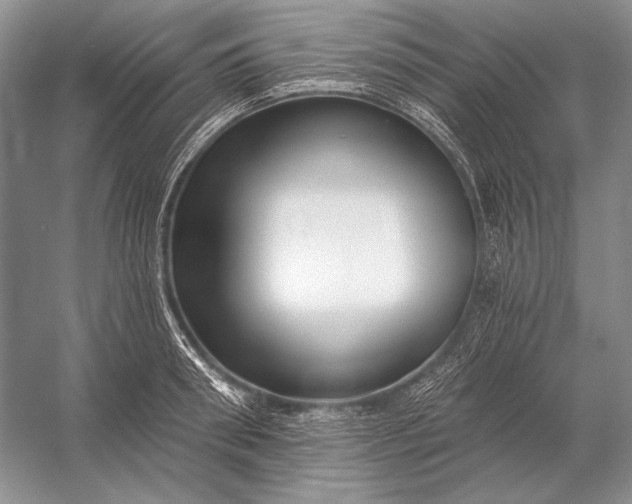 X0000053100898200507251628