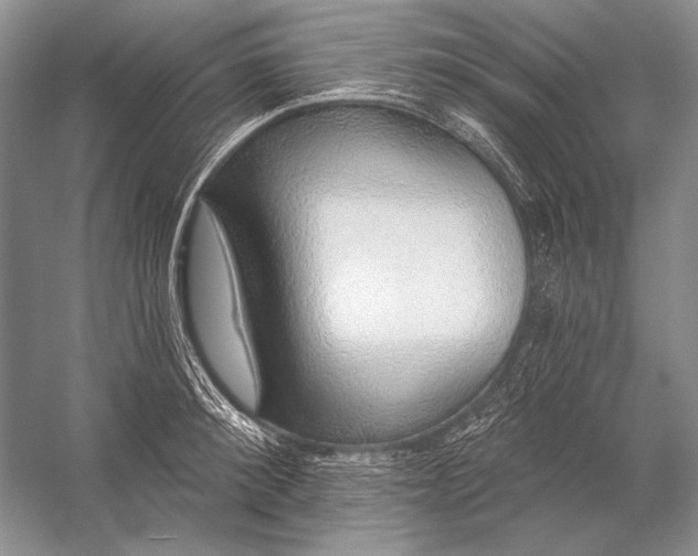 X0000053100900200507251628