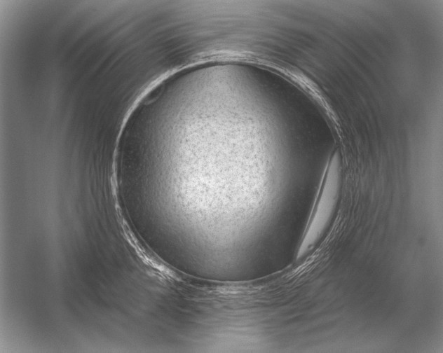 X0000053100904200507251627