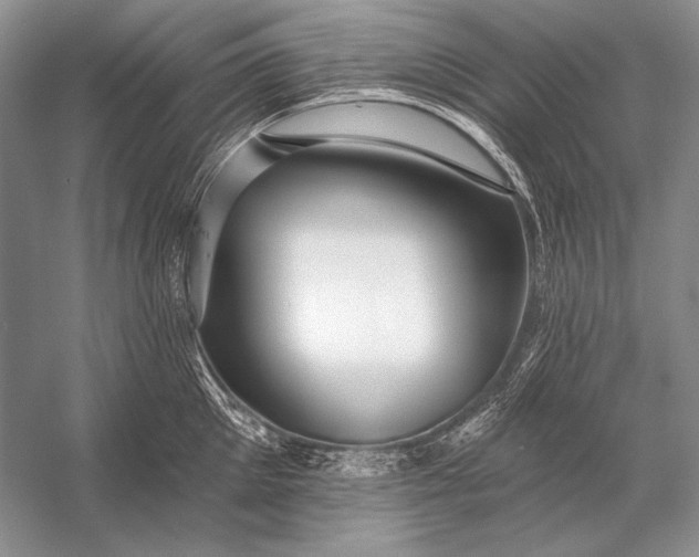 X0000053100905200507251627