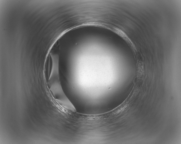 X0000053100908200507251627