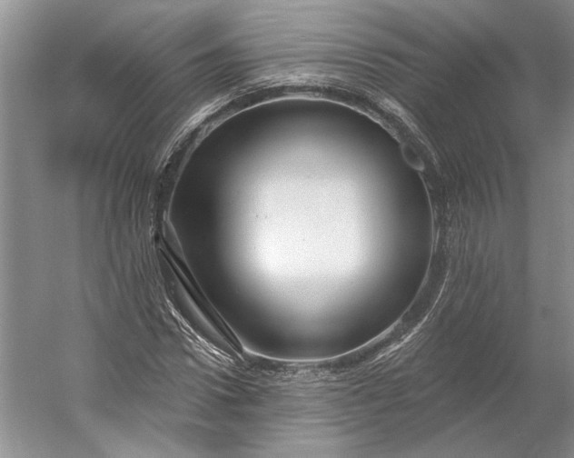 X0000053100922200507251627