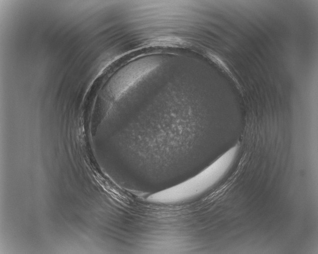X0000053100923200507251627