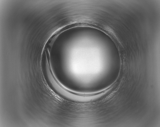 X0000053100924200507251627