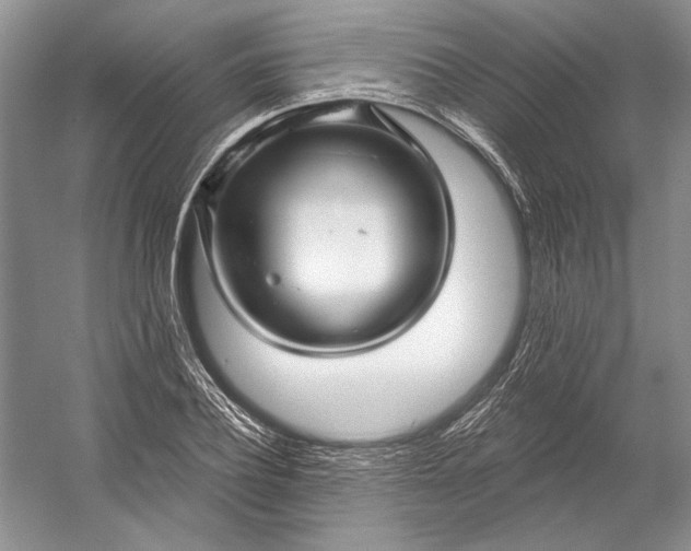 X0000053100932200507251627