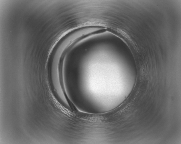 X0000053100934200507251627