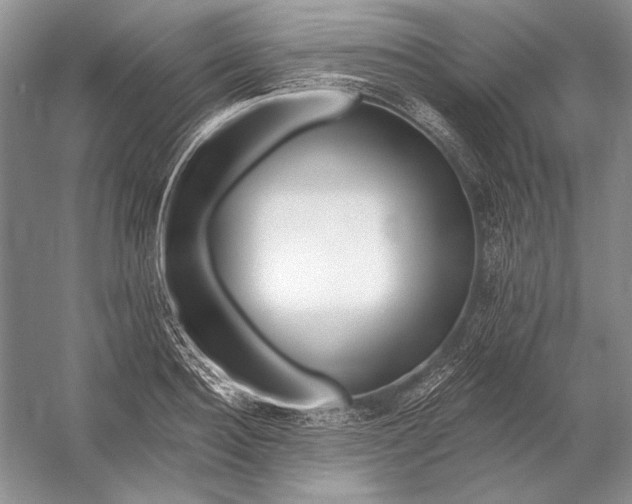 X0000053100940200507251627