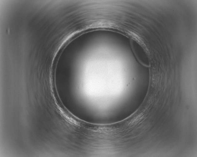 X0000053100942200507251627