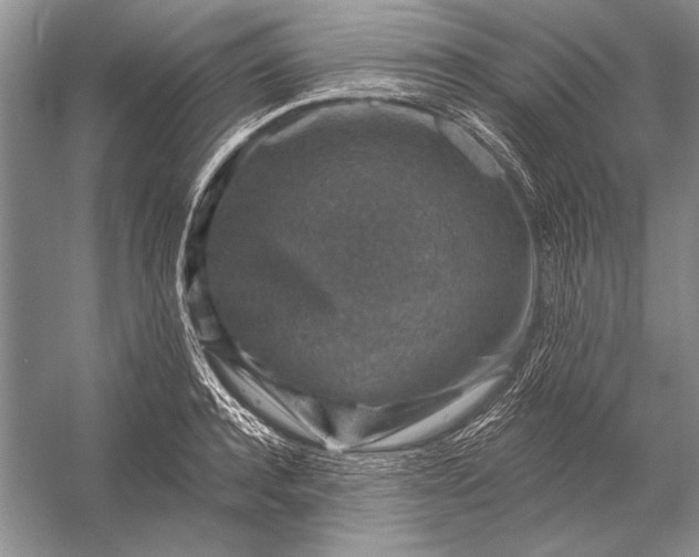 X0000053100944200507251627