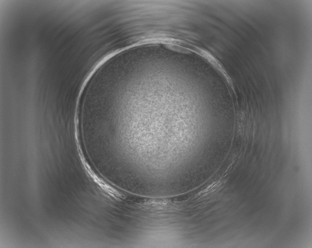 X0000053100955200507251627