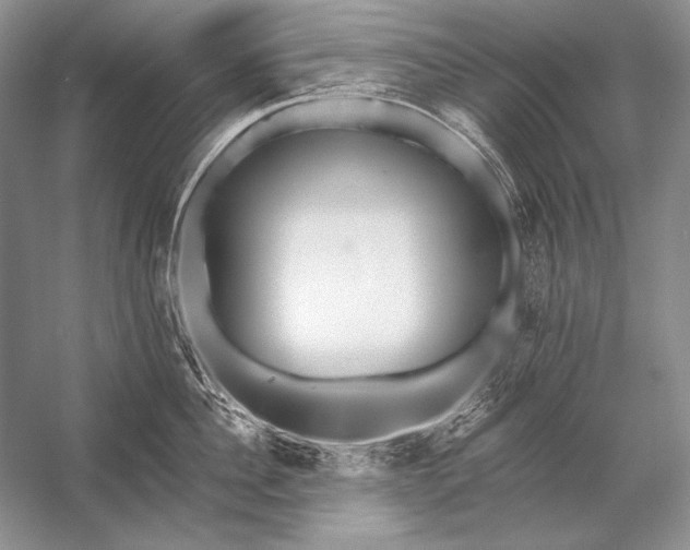 X0000053100956200507251627
