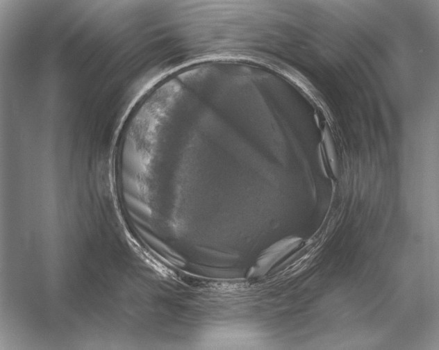 X0000053100958200507251627