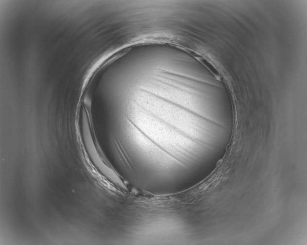 X0000053100960200507251627