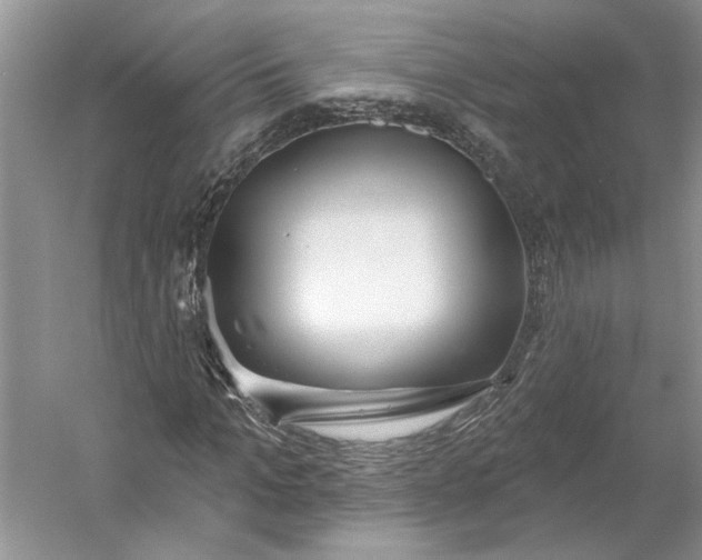 X0000053100965200507251626