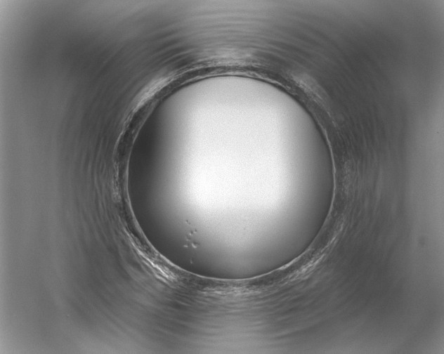X0000053100970200507251626
