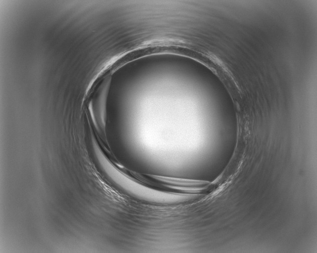 X0000053100973200507251626