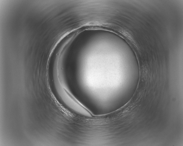X0000053100976200507251626