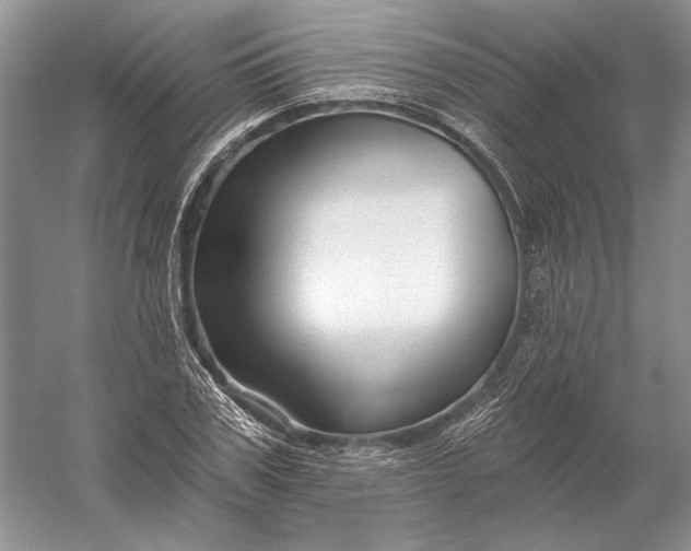 X0000053100979200507251626
