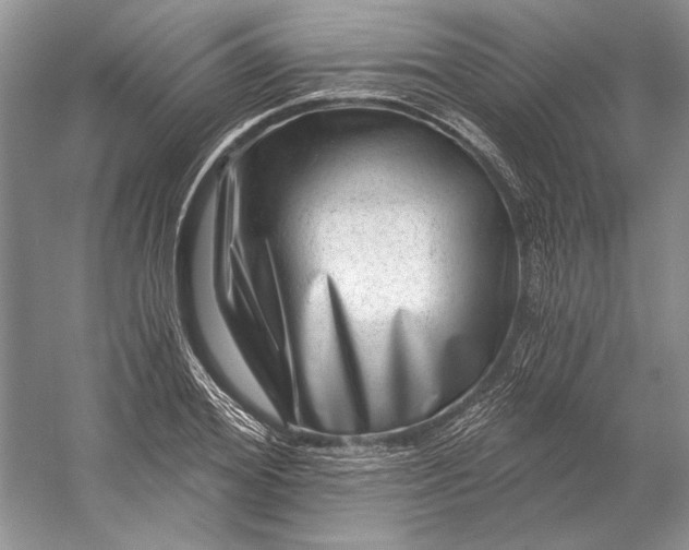 X0000053100980200507251626