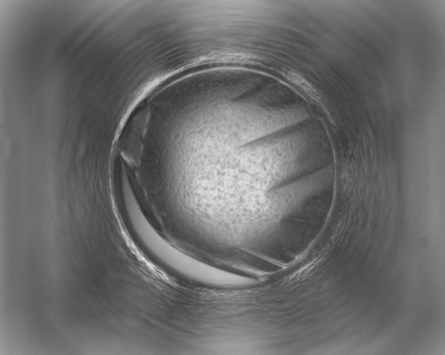 X0000053100989200507251626