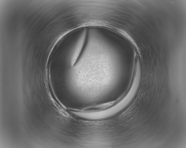 X0000053100996200507251626