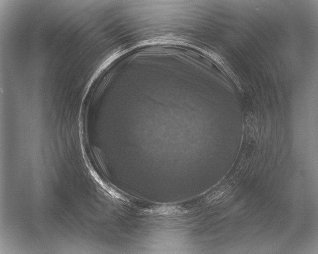 X0000053100998200507251626