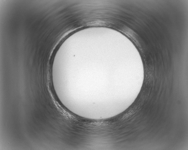 X0000053101000200507251626
