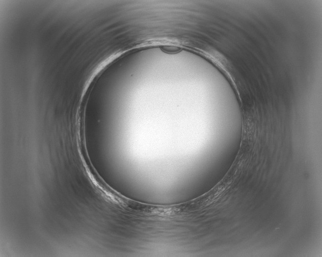 X0000053101003200507251626