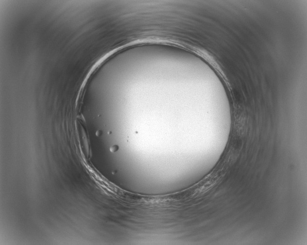 X0000053101004200507251626
