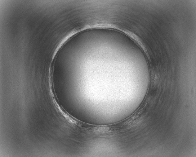X0000053101006200507251626