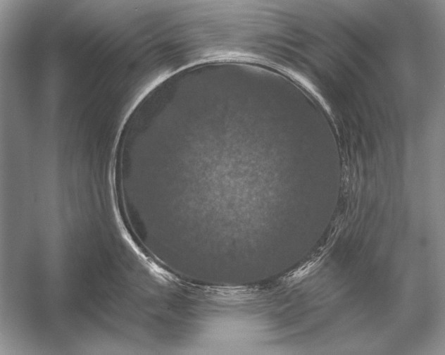 X0000053101007200507251626