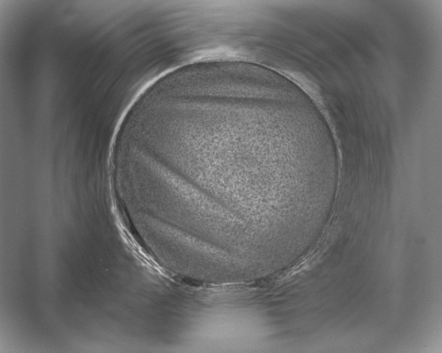 X0000053101008200507251626