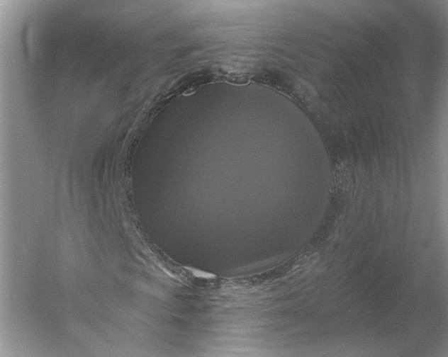 X0000053101009200507251625