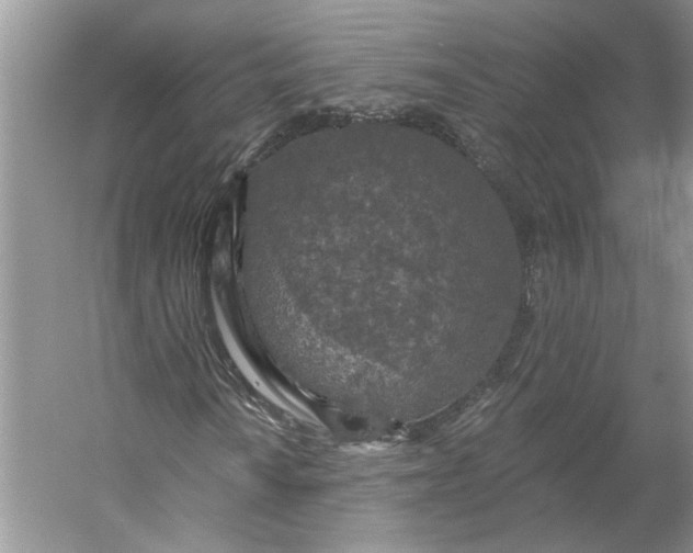 X0000053101010200507251625