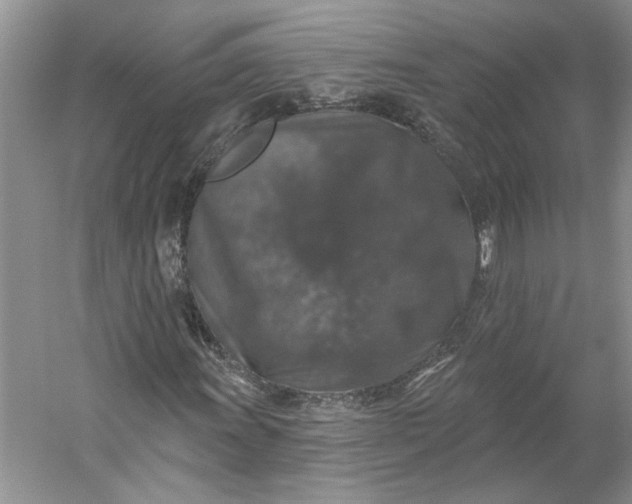 X0000053101011200507251625