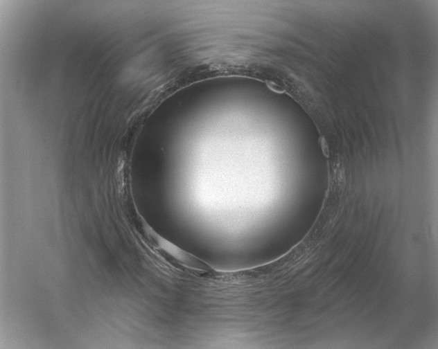 X0000053101012200507251625