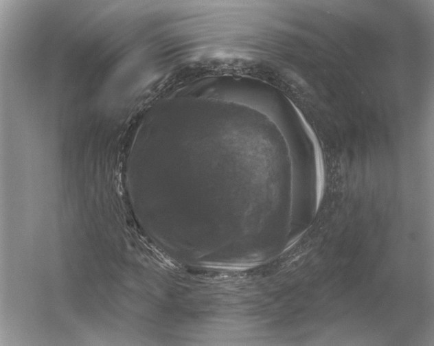 X0000053101013200507251625