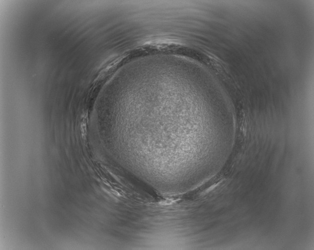 X0000053101014200507251625