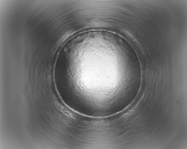 X0000053101025200507251625